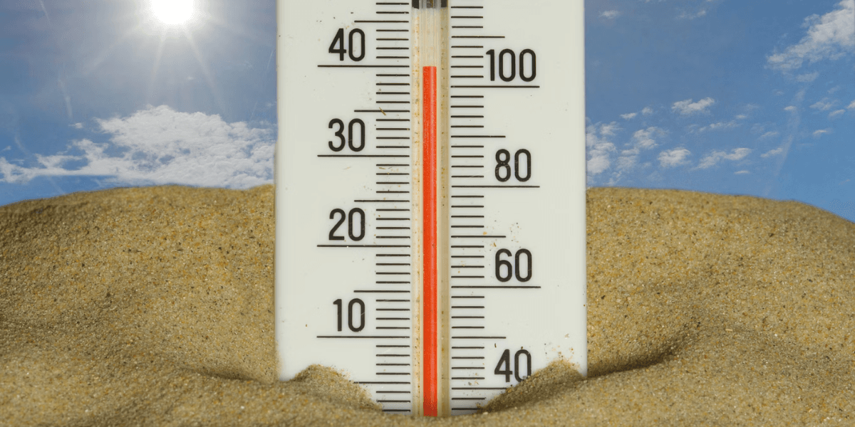 Los Angeles Expands Urban Cooling Network to Combat Rising Heat Risks