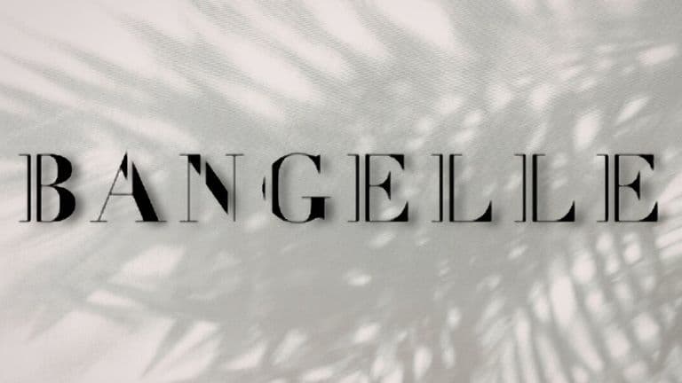 Bangelle logo over soft neutral background with palm leaf shadows.