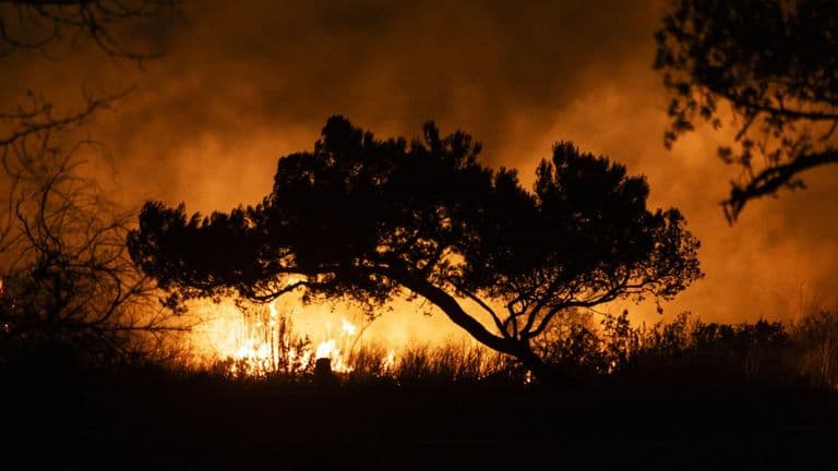 Fire 1