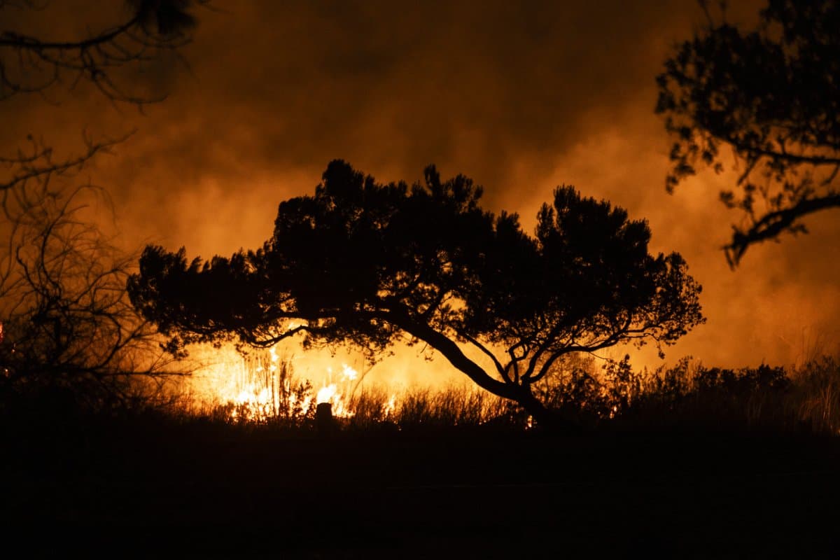 Fire 1
