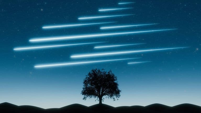 Perseid Meteor Shower 2025: A Celestial Spectacle Despite Moonlit Skies