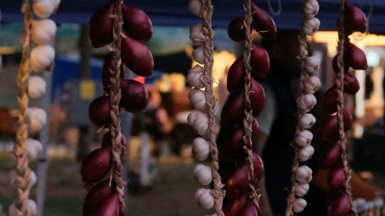 Gilroy Garlic Festival Returns After Six-Year Hiatus