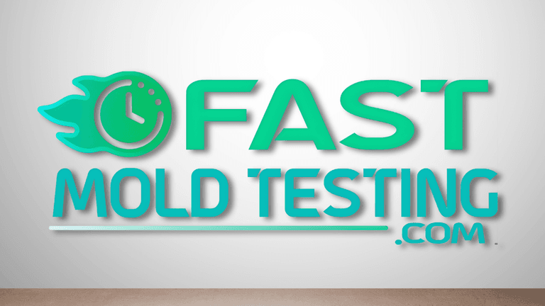 Logo for Fast Mold Testing featuring a clock icon with flames and teal text.