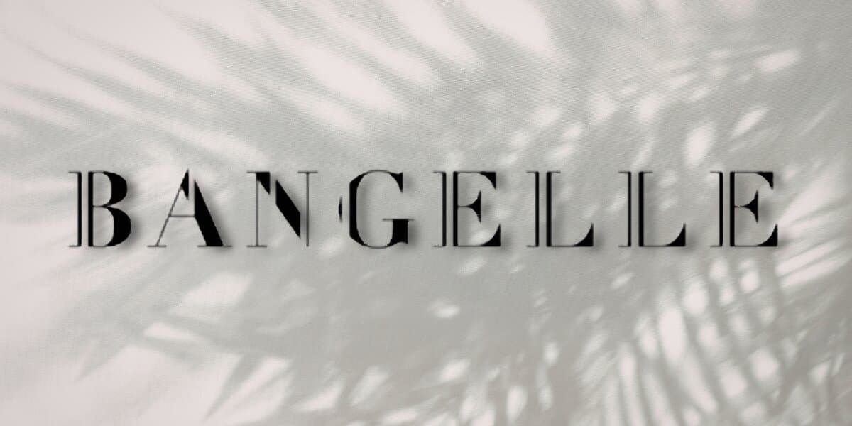 Bangelle logo over soft neutral background with palm leaf shadows.