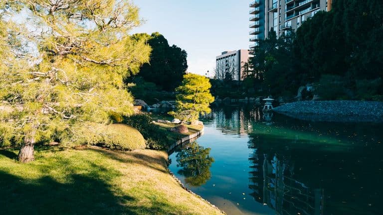 Free Photo Of Japanese Friendship Garden In Phoenix Arizona Usa