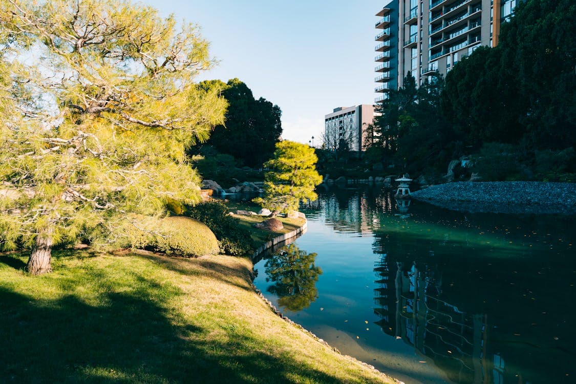 Free Photo Of Japanese Friendship Garden In Phoenix Arizona Usa