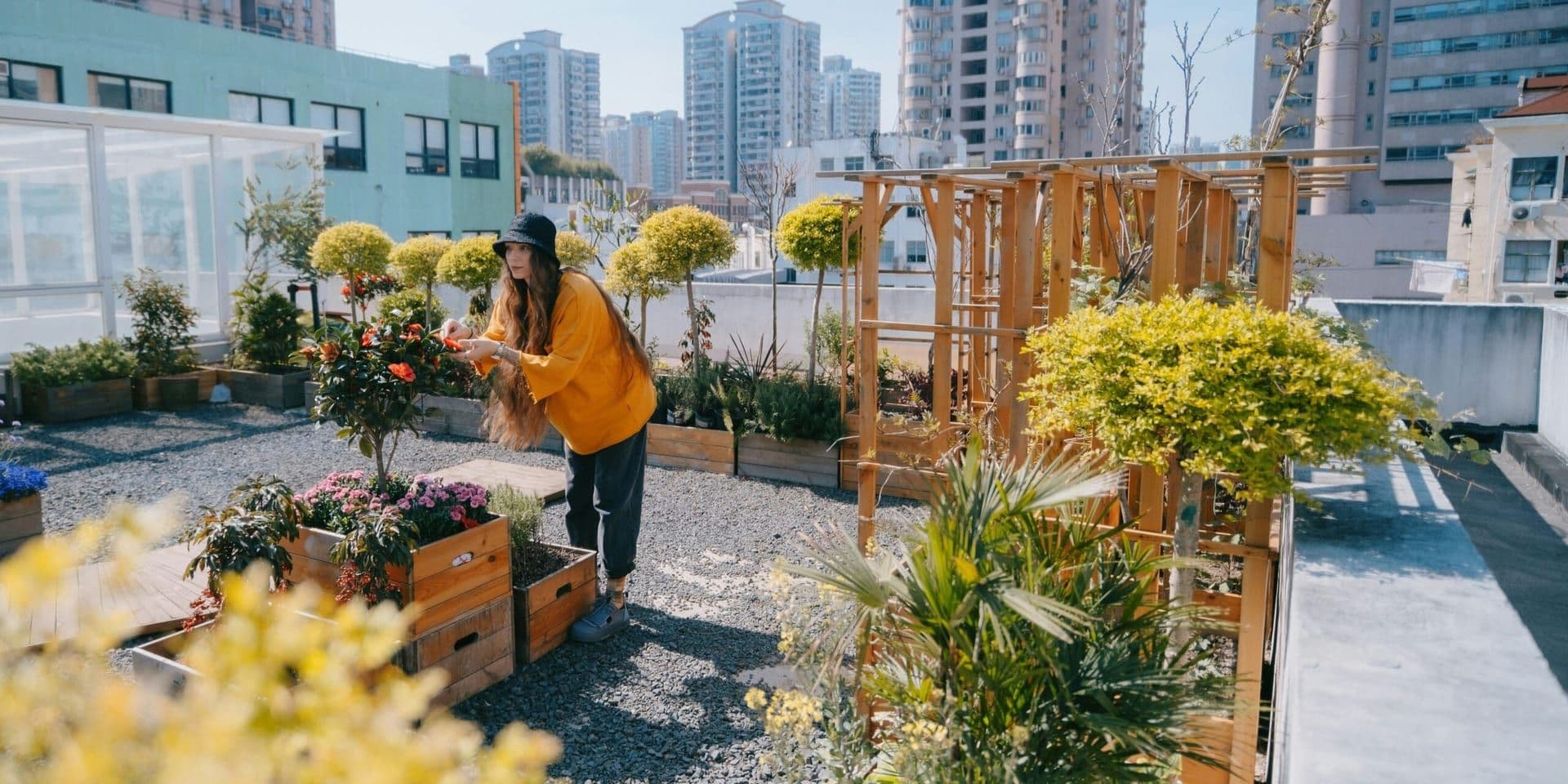 The Growing Popularity of Urban Gardening: How Los Angeles Residents Are Cultivating Their Own Green Spaces