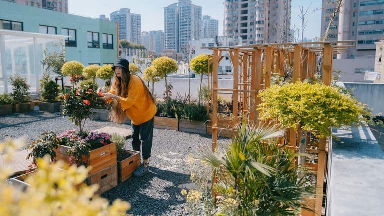 The Growing Popularity of Urban Gardening: How Los Angeles Residents Are Cultivating Their Own Green Spaces