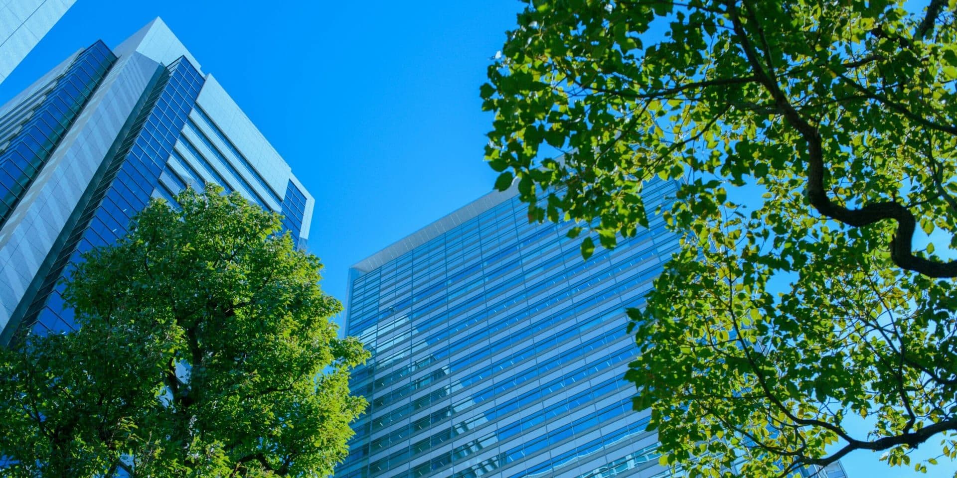 Rithm Capital Acquires Paramount Group in $1.6 Billion Deal, Betting on Office Market Revival