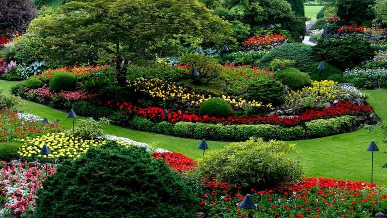Los Angeles Celebrates the Grand Opening of the “Roots of Cool” Exhibition at Descanso Gardens