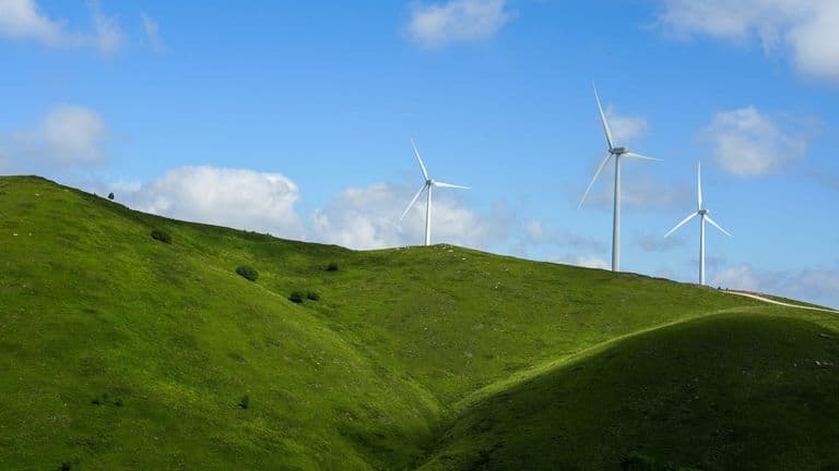 The Growing Role of Los Angeles in Global Green Energy Innovations