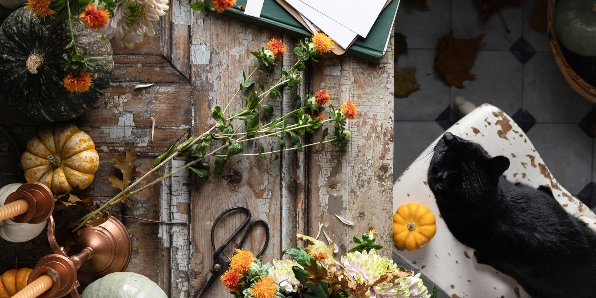 Chrishell Stause and G Flip Cous Celebrated Their Third Wedding with a Whimsical Medieval Fair