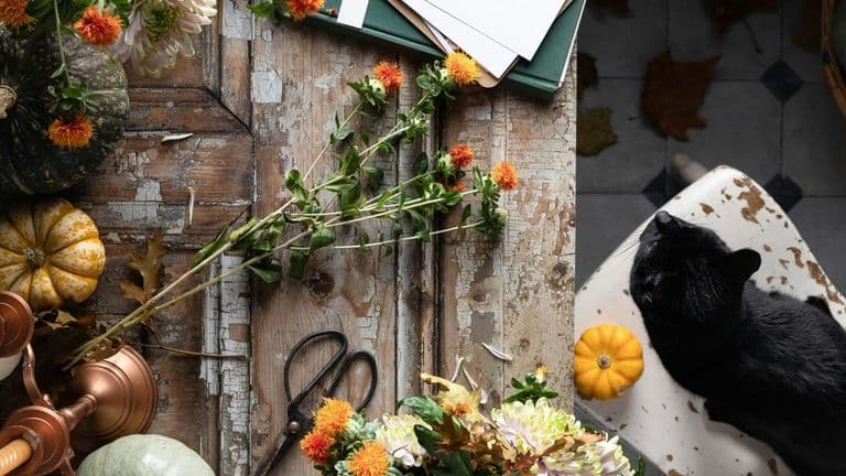 Chrishell Stause and G Flip Cous Celebrated Their Third Wedding with a Whimsical Medieval Fair