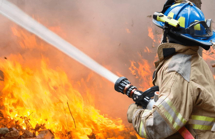 Screenshot 2025 01 17 072649