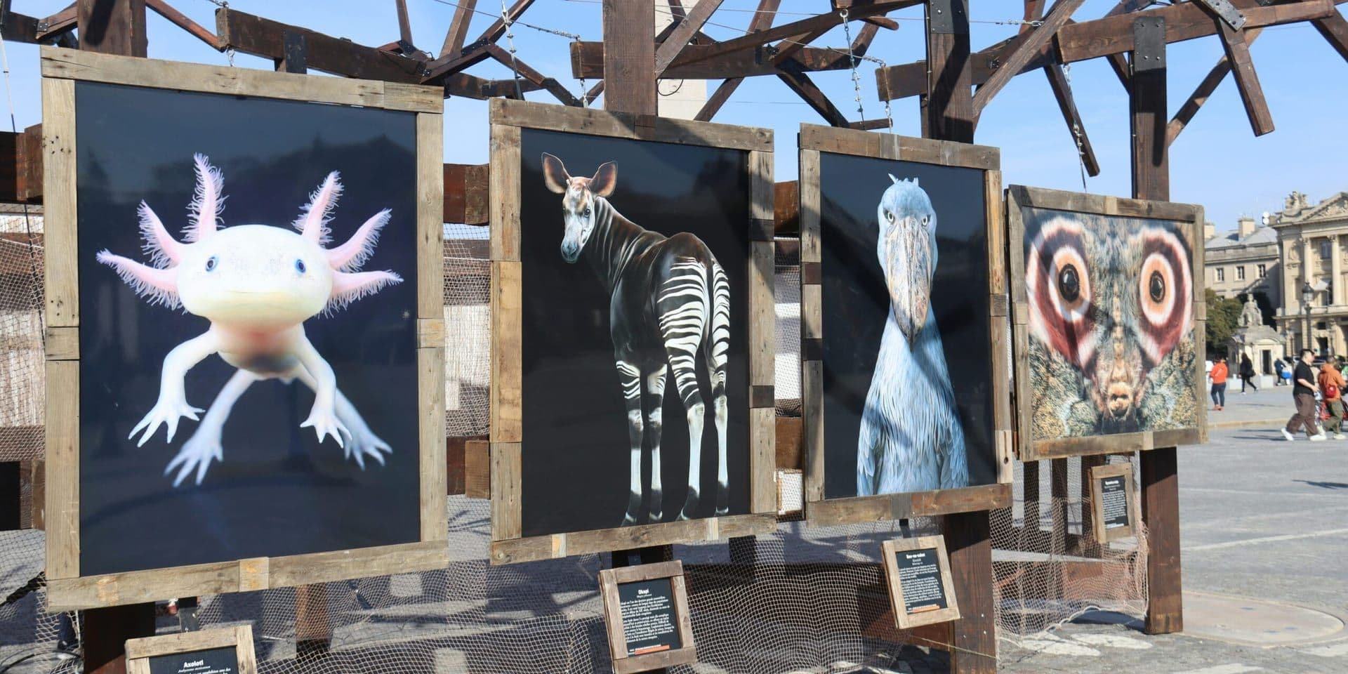 Community Art Exhibition and Youth Event Series Bring Creativity to Josephy Center