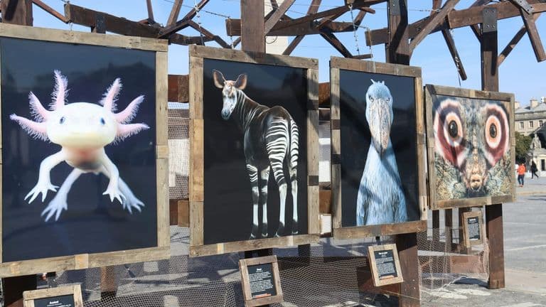 Community Art Exhibition and Youth Event Series Bring Creativity to Josephy Center