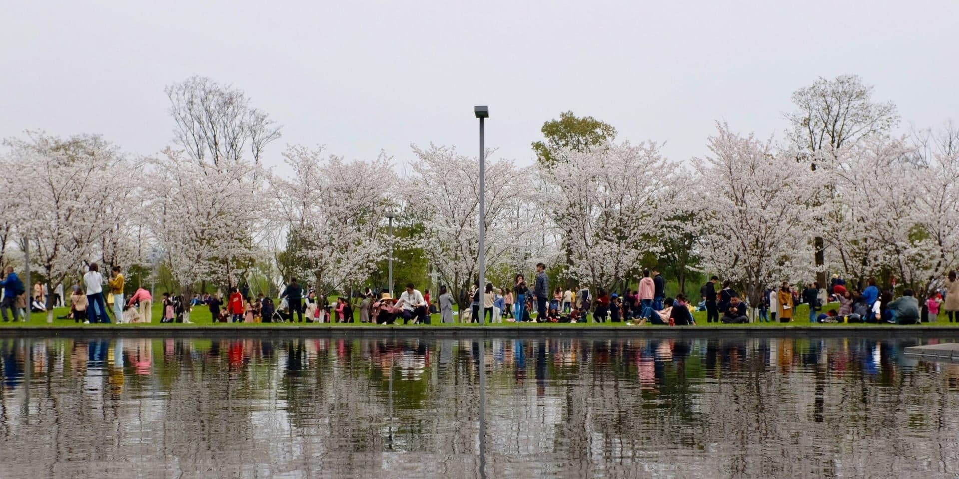 Magnolia Fine Arts Festival Celebrates 10th Anniversary in Peachtree City