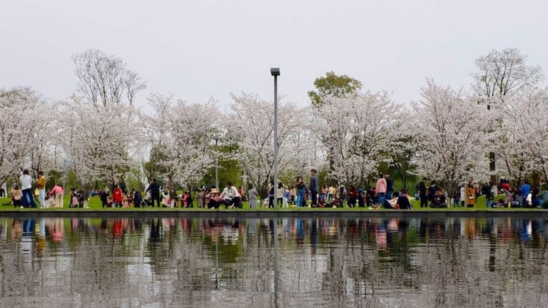 Magnolia Fine Arts Festival Celebrates 10th Anniversary in Peachtree City