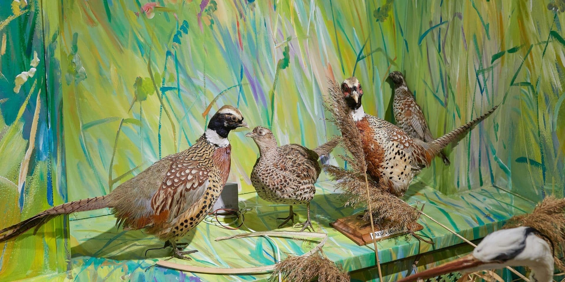 Celebrated ‘Animals in Art’ Exhibit Opens in Michigan Gallery