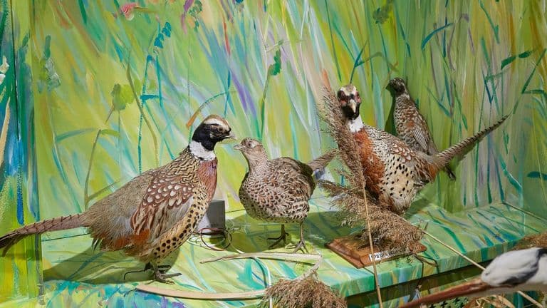 Celebrated ‘Animals in Art’ Exhibit Opens in Michigan Gallery