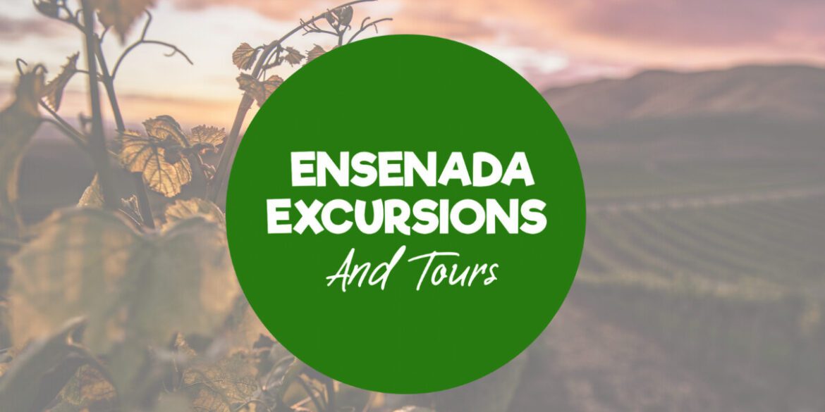 Scenic landscape of Valle de Guadalupe with vineyards, representing the journey from San Diego to Baja's wellness region.